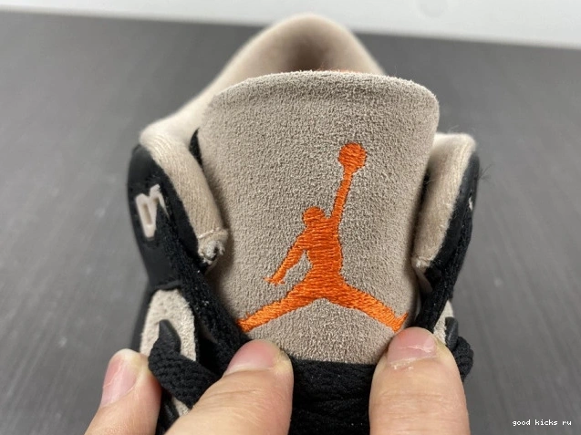 Elephant Desert Air Jordan CT8532-008 3 0709
